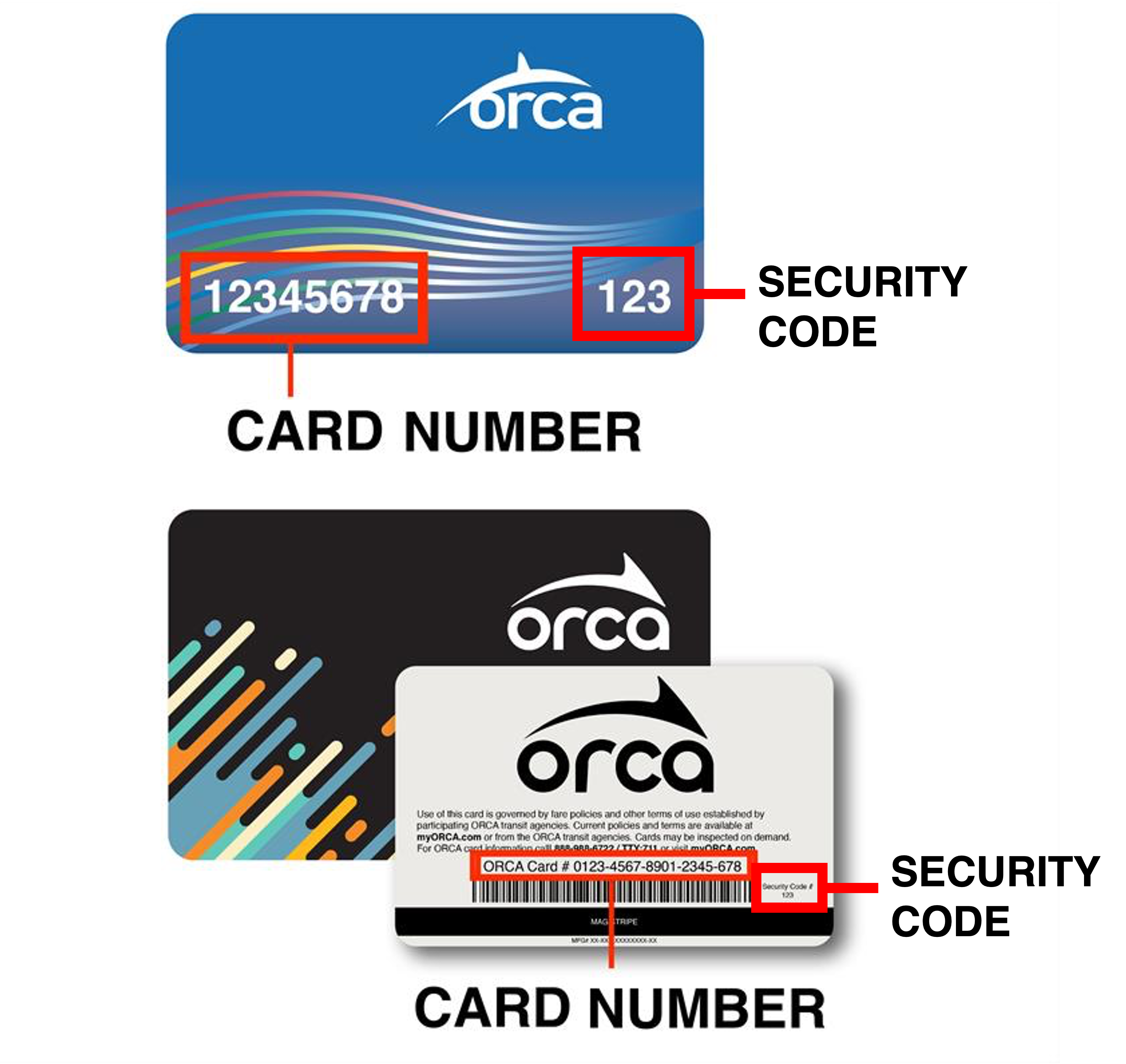 CN and SEC CODE.png